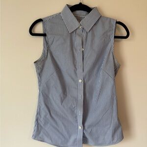 Banana Republic Blue and White Fitted Button Down Shirt